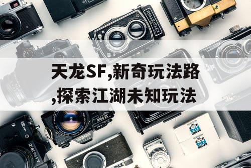 天龙SF,新奇玩法路,探索江湖未知玩法