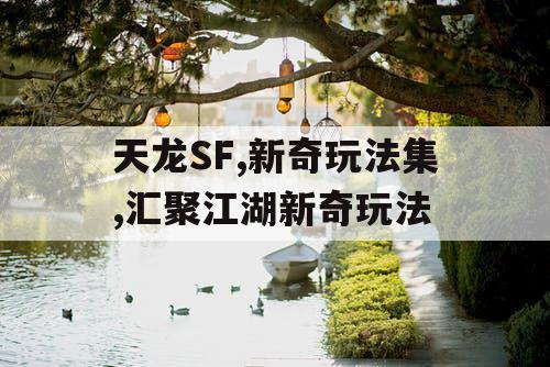 天龙SF,新奇玩法集,汇聚江湖新奇玩法