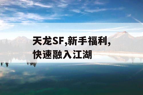 天龙SF,新手福利,快速融入江湖