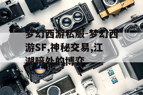 梦幻西游私服-梦幻西游SF,神秘交易,江湖暗处的博弈