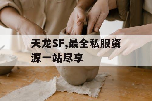 天龙SF,最全私服资源一站尽享 天龙SF,最全私服资源一站尽享