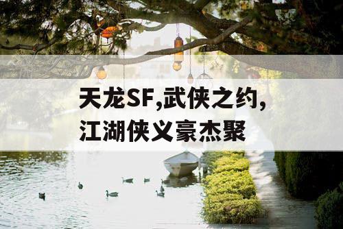 天龙SF,武侠之约,江湖侠义豪杰聚