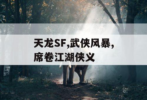 天龙SF,武侠风暴,席卷江湖侠义