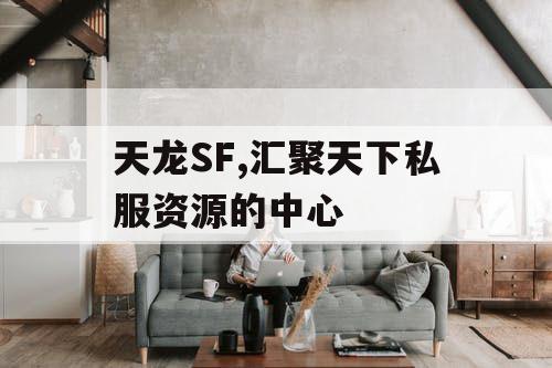 天龙SF,汇聚天下私服资源的中心