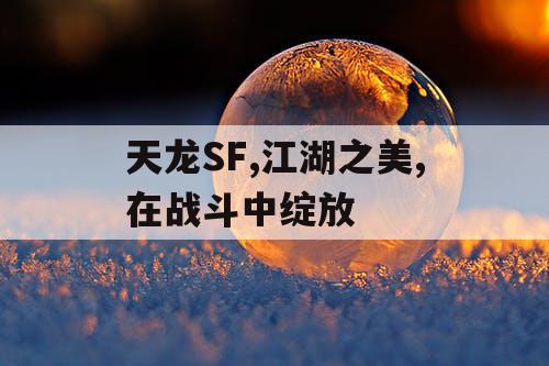天龙SF,江湖之美,在战斗中绽放