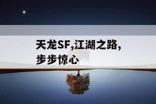 天龙SF,江湖之路,步步惊心