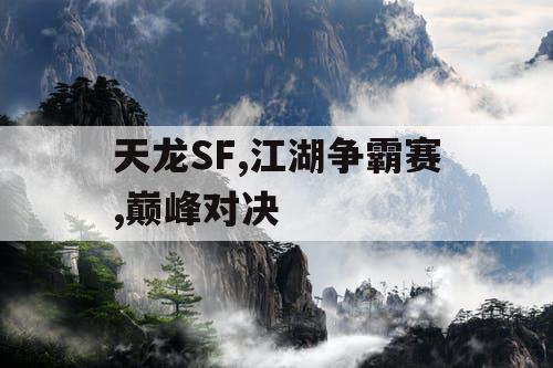天龙SF,江湖争霸赛,巅峰对决