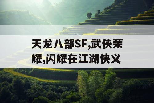 天龙八部SF,武侠荣耀,闪耀在江湖侠义