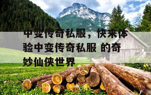 中变传奇私服，快来体验中变传奇私服 的奇妙仙侠世界