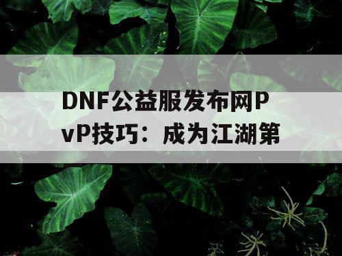 DNF公益服发布网PvP技巧：成为江湖第一