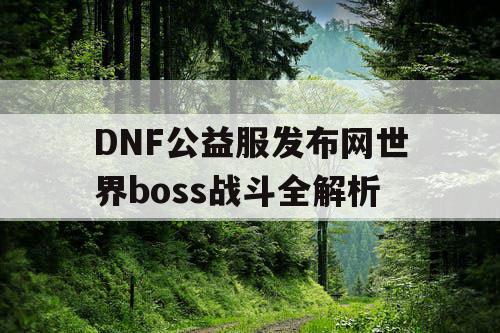DNF公益服发布网世界boss战斗全解析 DNF公益服发布网世界boss战斗全解析
