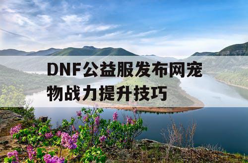 DNF公益服发布网宠物战力提升技巧