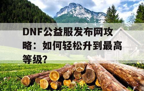 DNF公益服发布网攻略：如何轻松升到最高等级？