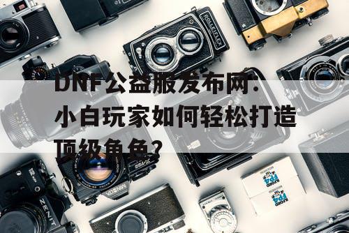 DNF公益服发布网:小白玩家如何轻松打造顶级角色? DNF公益服发布网:小白玩家如何轻松打造顶级角色?