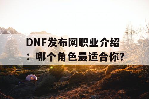 DNF发布网职业介绍：哪个角色最适合你？