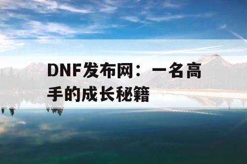 DNF发布网：一名高手的成长秘籍