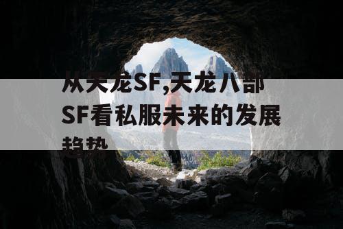 从天龙SF,天龙八部SF看私服未来的发展趋势