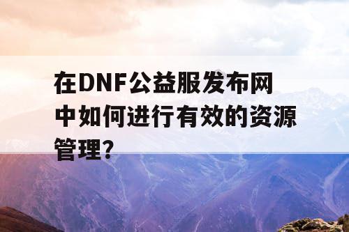 在DNF公益服发布网中如何进行有效的资源管理？