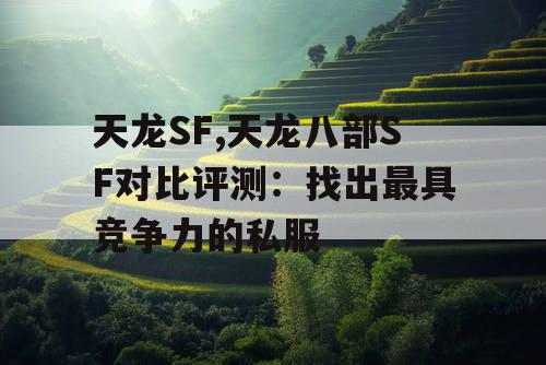 天龙SF,天龙八部SF对比评测：找出最具竞争力的私服