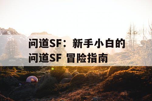 问道SF：新手小白的问道SF 冒险指南