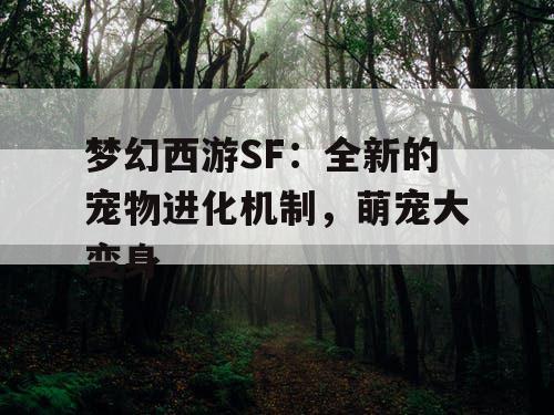 梦幻西游SF:全新的宠物进化机制,萌宠大变身 梦幻西游SF:全新的宠物进化机制,萌宠大变身