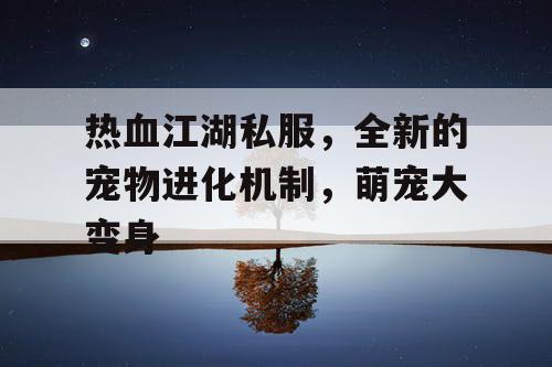 热血江湖私服,全新的宠物进化机制,萌宠大变身 热血江湖私服,全新的宠物进化机制,萌宠大变身