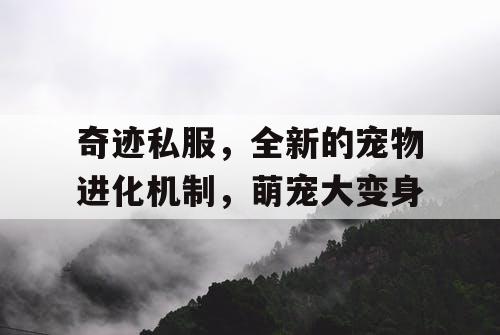 奇迹私服，全新的宠物进化机制，萌宠大变身