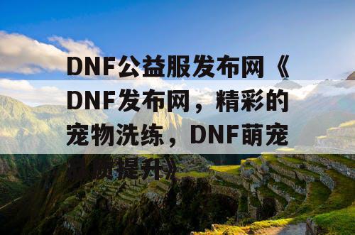 DNF公益服发布网《DNF发布网,精彩的宠物洗练,DNF萌宠品质提升》 DNF公益服发布网《DNF发布网,精彩的宠物洗练,DNF萌宠品质提升》