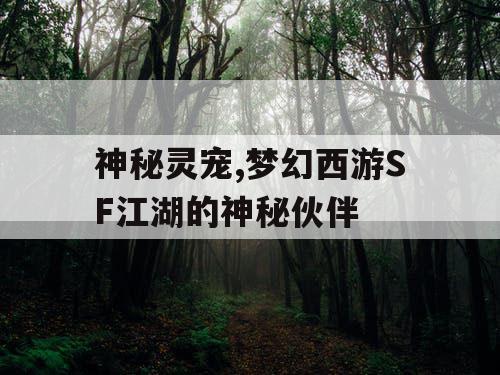 神秘灵宠,梦幻西游SF江湖的神秘伙伴