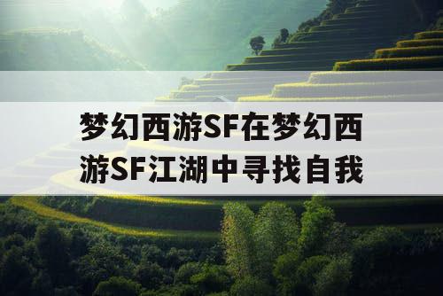 梦幻西游SF在梦幻西游SF江湖中寻找自我