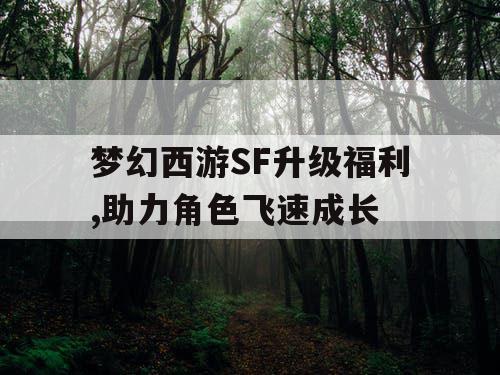 梦幻西游SF升级福利,助力角色飞速成长