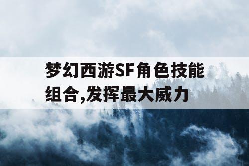 梦幻西游SF角色技能组合,发挥最大威力