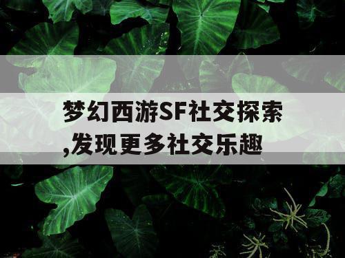 梦幻西游SF社交探索,发现更多社交乐趣 梦幻西游SF社交探索,发现更多社交乐趣