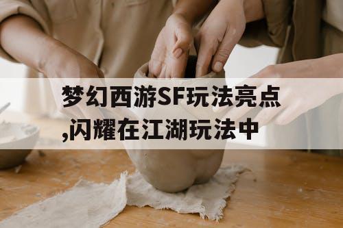 梦幻西游SF玩法亮点,闪耀在江湖玩法中