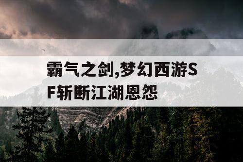 霸气之剑,梦幻西游SF斩断江湖恩怨 霸气之剑,梦幻西游SF斩断江湖恩怨