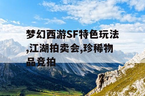 梦幻西游SF特色玩法,江湖拍卖会,珍稀物品竞拍