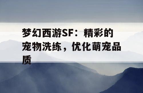 梦幻西游SF：精彩的宠物洗练，优化萌宠品质