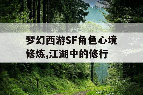 梦幻西游SF角色心境修炼,江湖中的修行