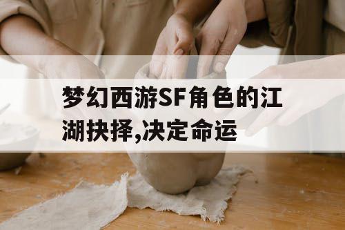 梦幻西游SF角色的江湖抉择,决定命运