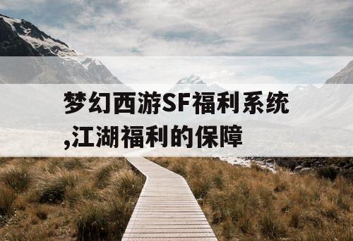梦幻西游SF福利系统,江湖福利的保障