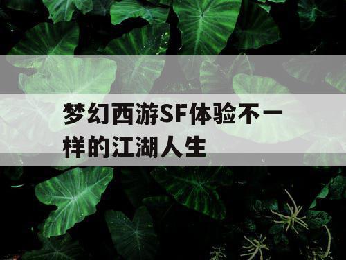 梦幻西游SF体验不一样的江湖人生