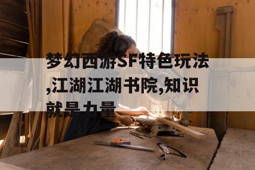 梦幻西游SF特色玩法,江湖江湖书院,知识就是力量 梦幻西游SF特色玩法,江湖江湖书院,知识就是力量