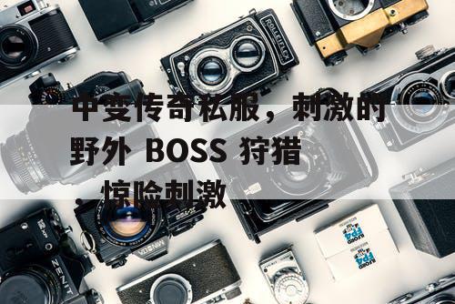 中变传奇私服,刺激的野外 BOSS 狩猎,惊险刺激 中变传奇私服,刺激的野外 BOSS 狩猎,惊险刺激