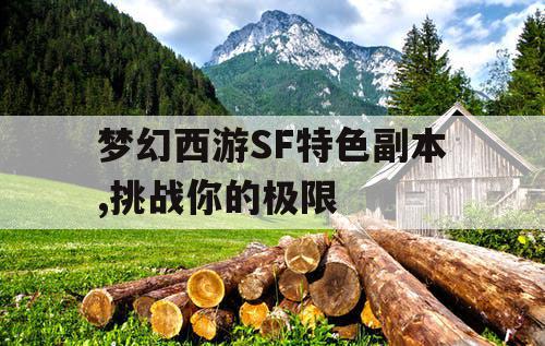 梦幻西游SF特色副本,挑战你的极限