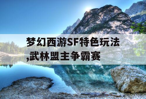 梦幻西游SF特色玩法,武林盟主争霸赛