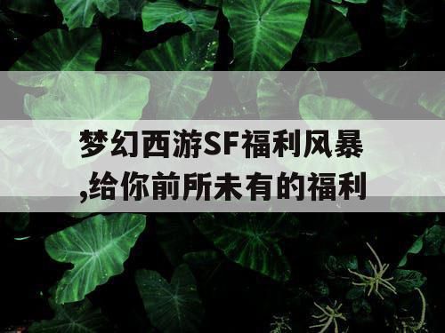 梦幻西游SF福利风暴,给你前所未有的福利