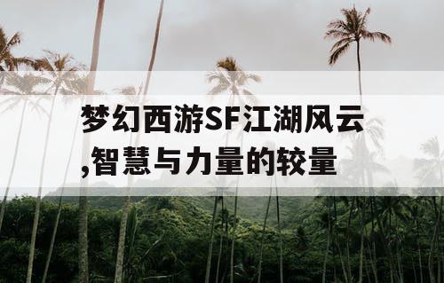 梦幻西游SF江湖风云,智慧与力量的较量