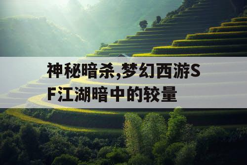 神秘暗杀,梦幻西游SF江湖暗中的较量