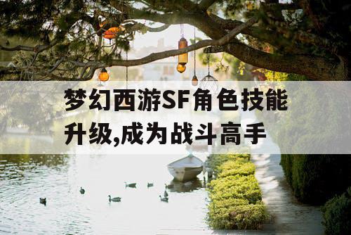 梦幻西游SF角色技能升级,成为战斗高手 梦幻西游SF角色技能升级,成为战斗高手