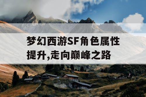 梦幻西游SF角色属性提升,走向巅峰之路